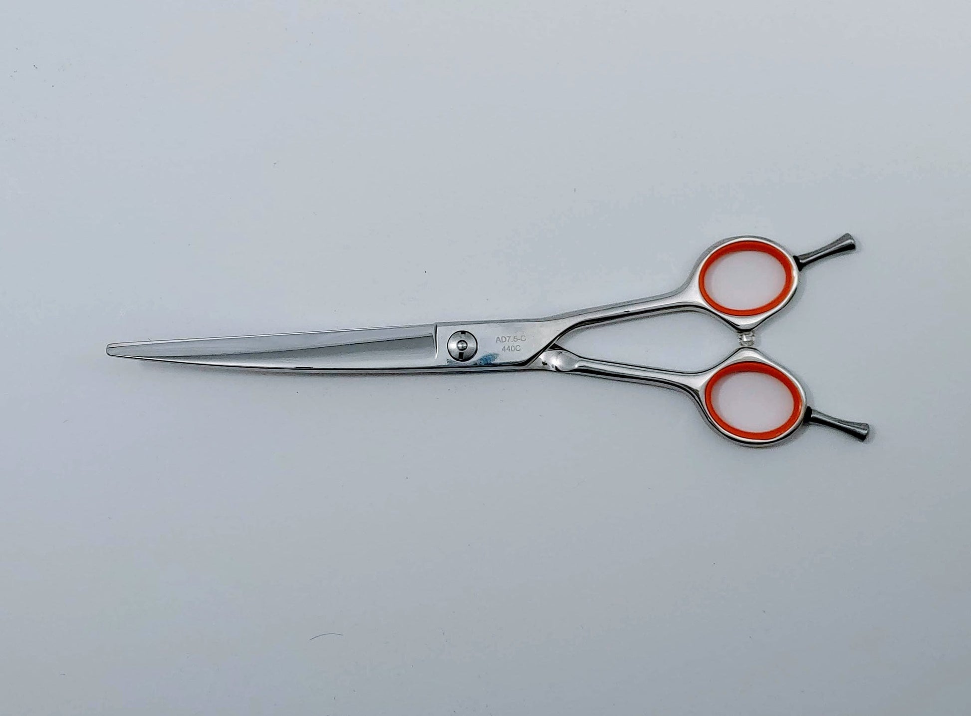 Auddy Curved Shear