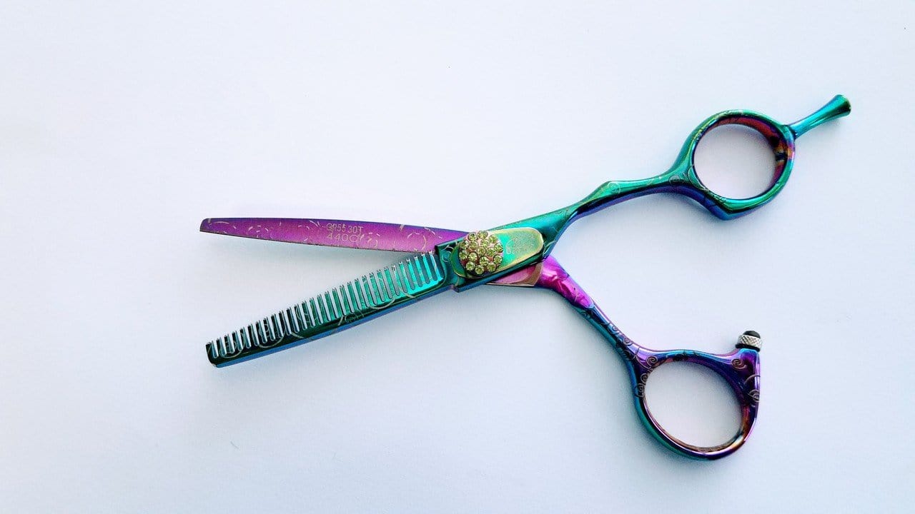 Bonika Poison Ivy 2 Shear Set