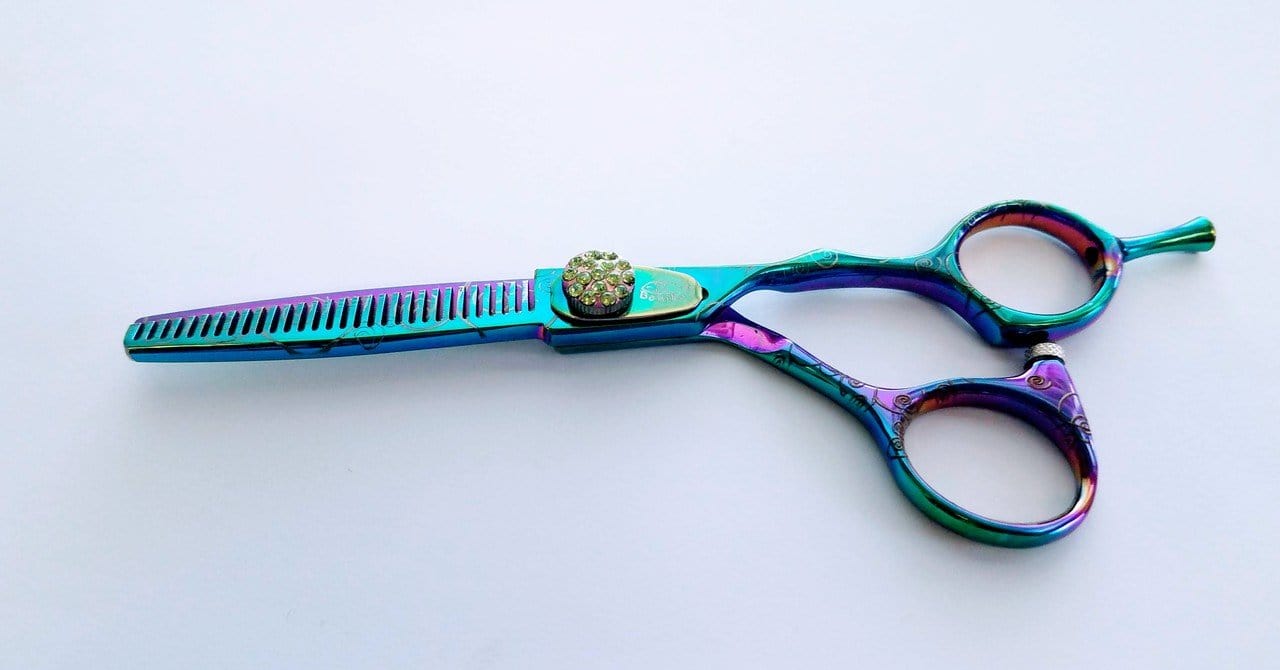 Bonika Poison Ivy 2 Shear Set