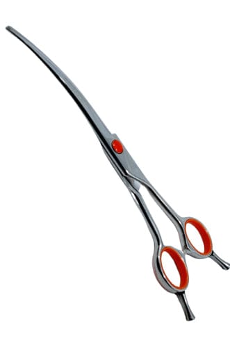 Auddy Curved Shear